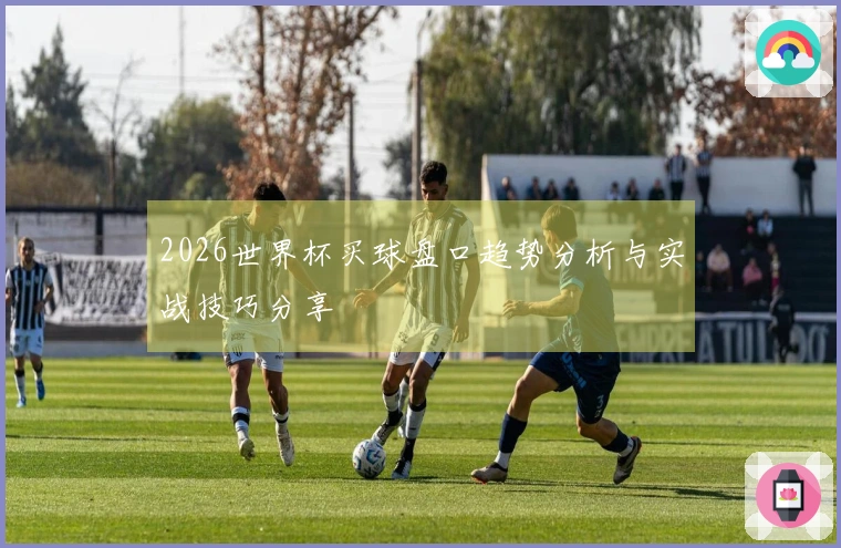 2026世界杯买球盘口趋势分析与实战技巧分享