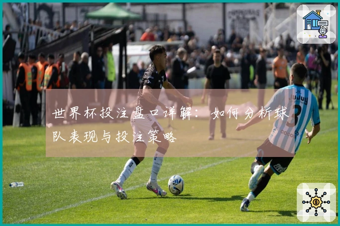 世界杯投注盘口详解：如何分析球队表现与投注策略