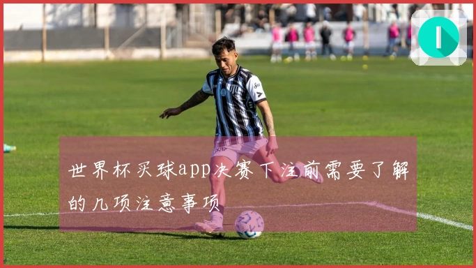 世界杯买球app决赛下注前需要了解的几项注意事项